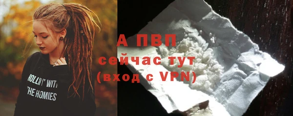 амф Гусиноозёрск